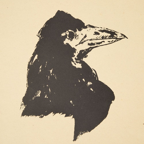Il corvo